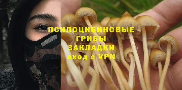 мескалин Баксан