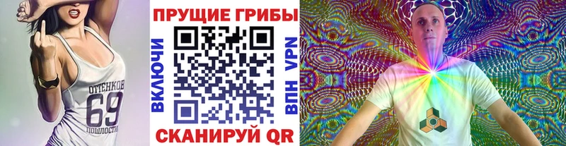 Купить  Нюрба  Псилоцибиновые грибы мухоморы 